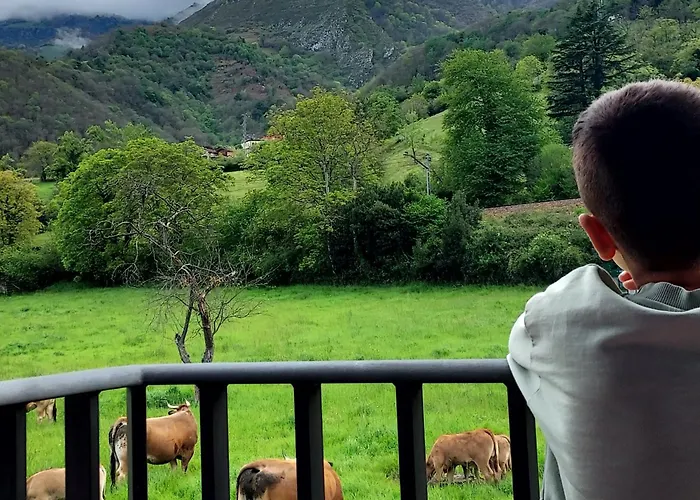 Dom wakacyjny La Casina